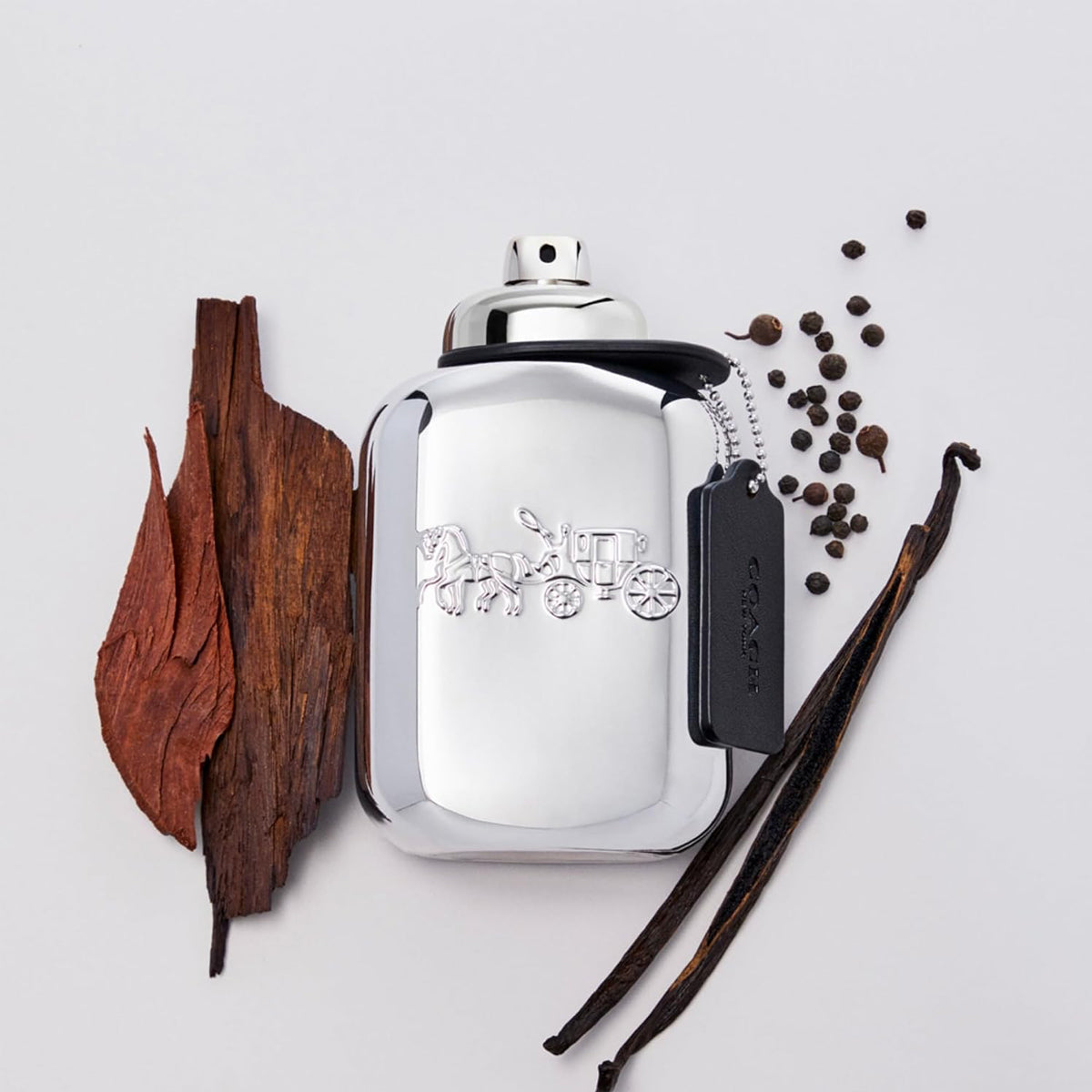 Platinum COACH EDP ♂ - 100 ml