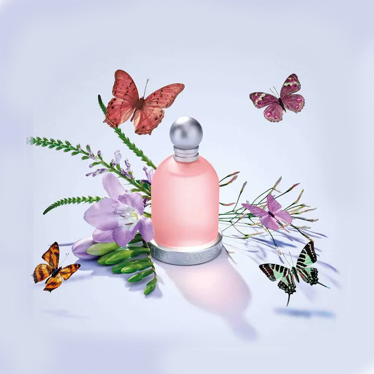 Water Lily HALLOWEEN EDT ♀ - 100 ml