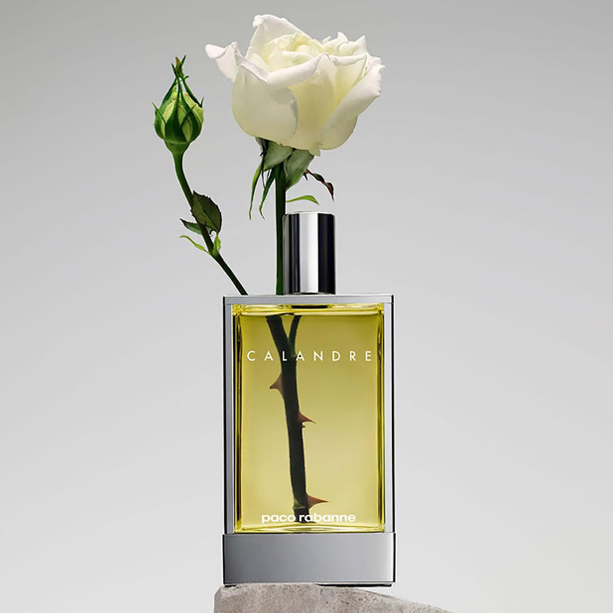 Calandre PACO RABANNE EDP ♀ - 100 ml