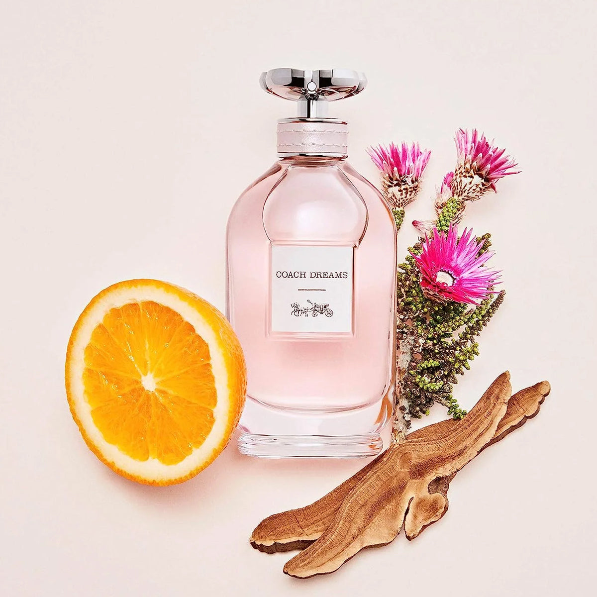Dreams COACH  EDP ♀ -90 ml