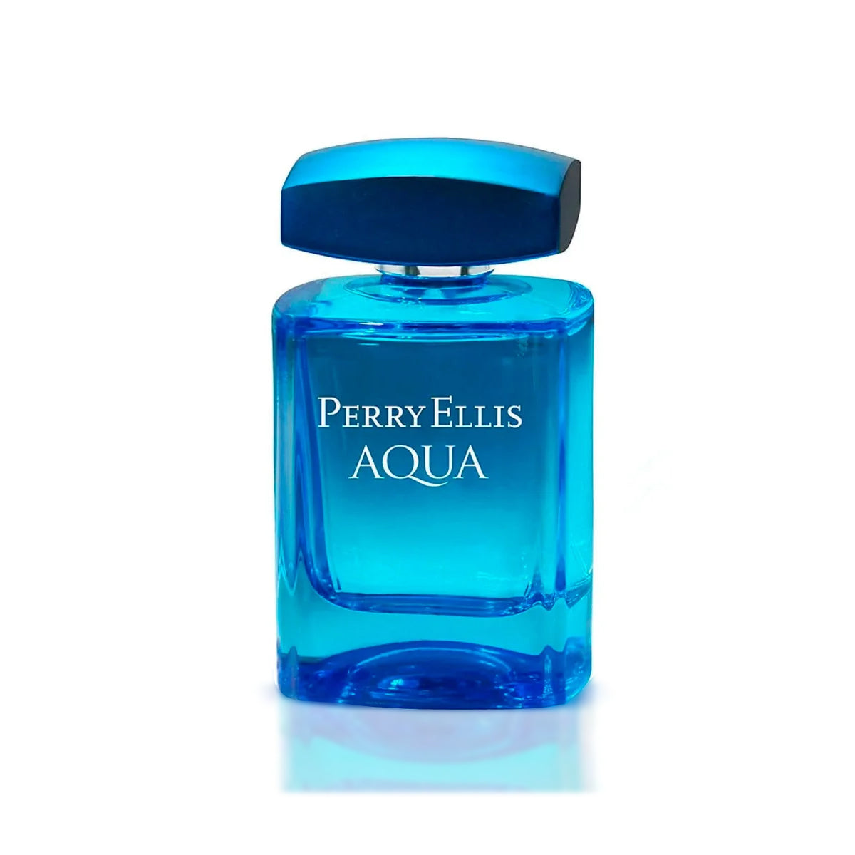 Aqua PERRY ELLIS EDT  ♂ - 100 ml