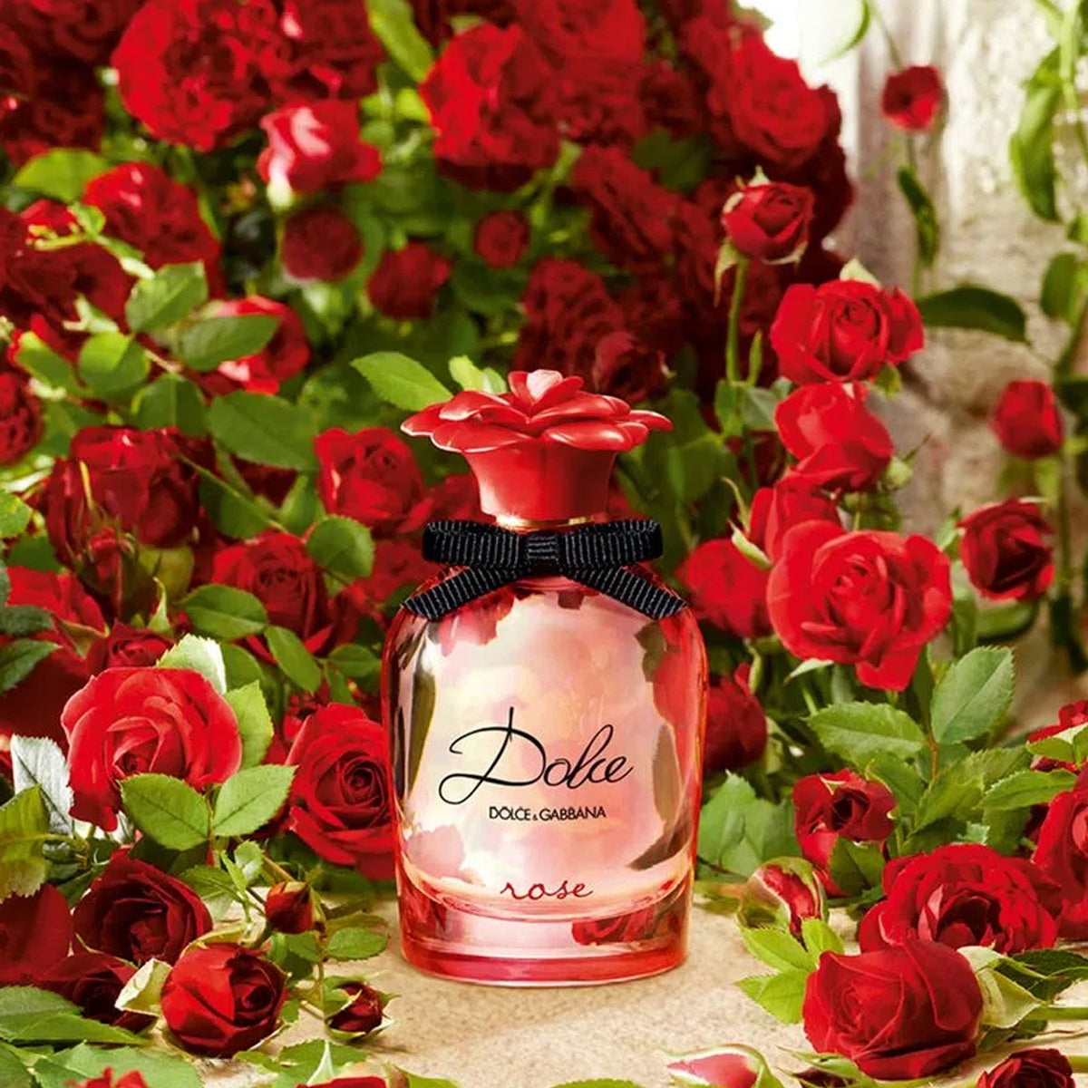 Dolce Rose DOLCE & GABBANA EDP ♀ - 75 ml